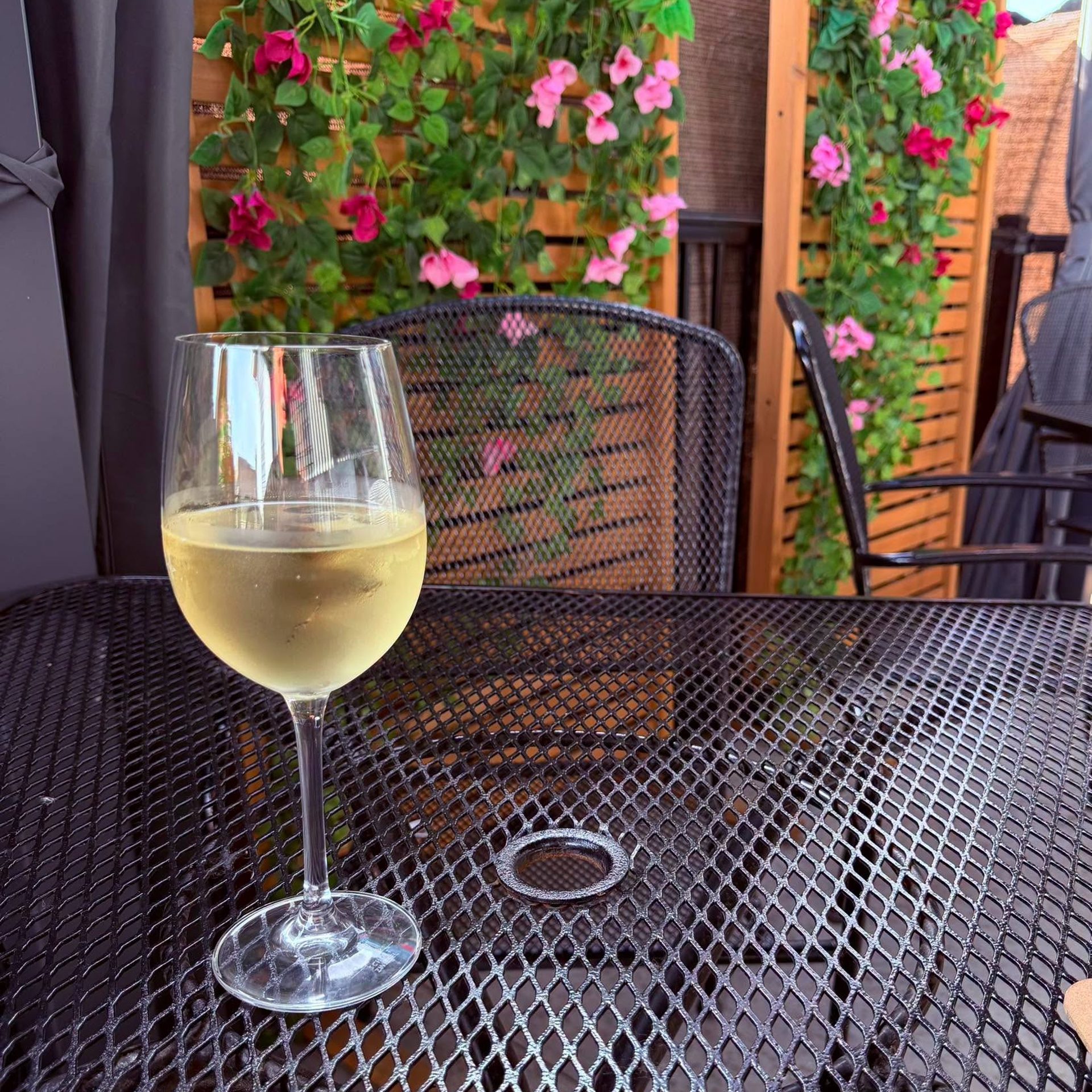 The Top Wine List Near Cass Lake